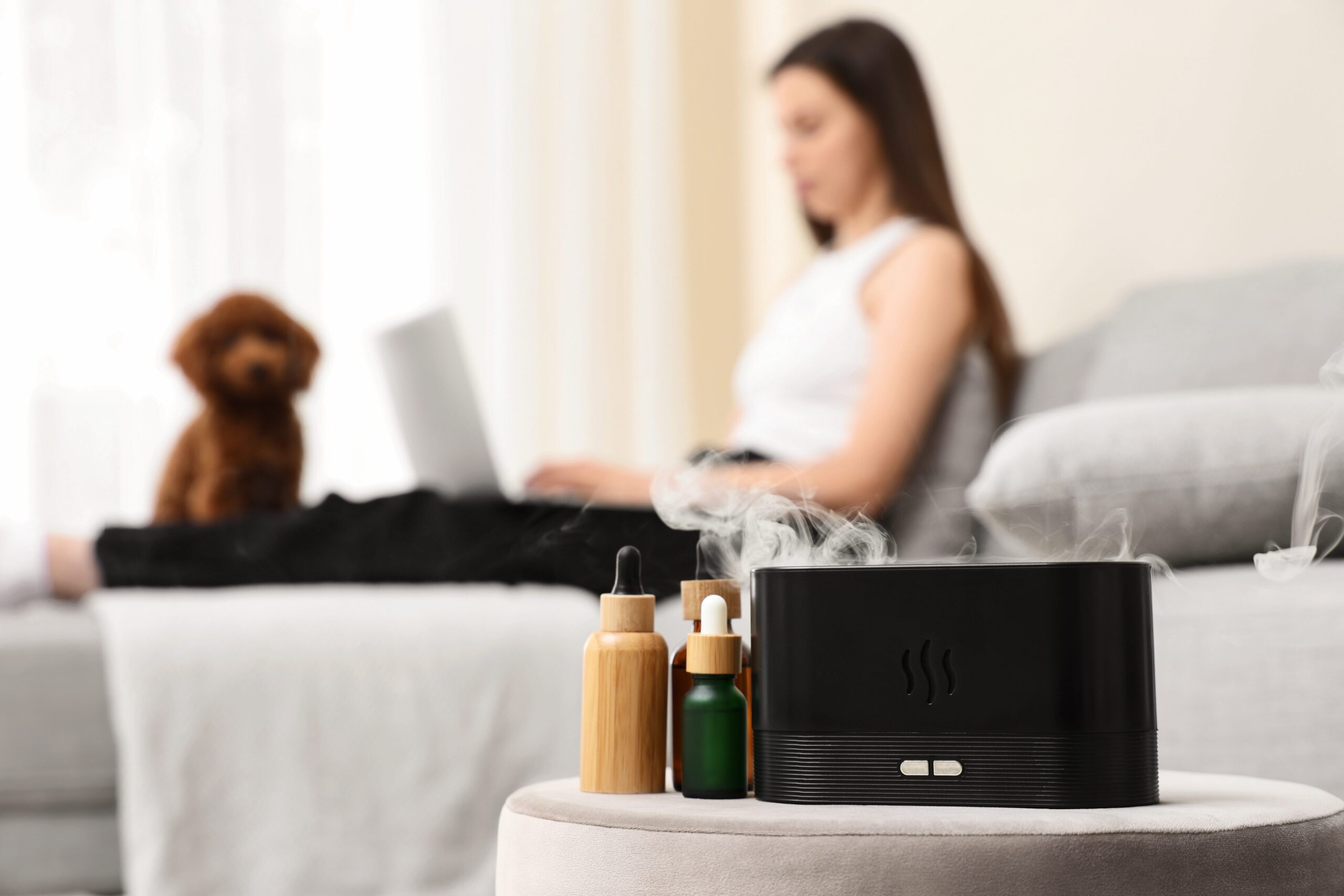 Aromatherapy diffuser with essential oils and a woman working on a laptop with a dog in the background, Aromatherapy diffuser with essential oil bottles on a side table, creating a relaxing atmosphere