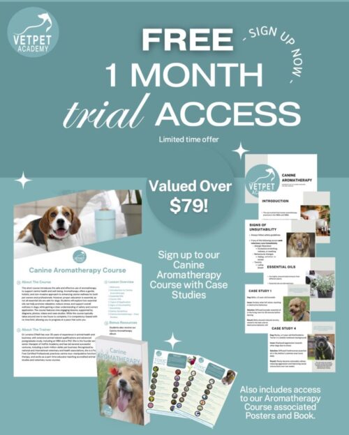 Free Pomotional Page VetPet Academy