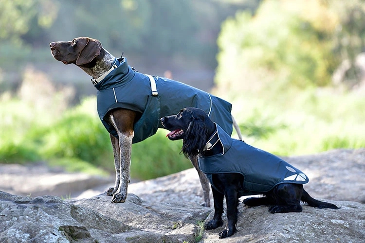 Weatherbeeta dog rugs