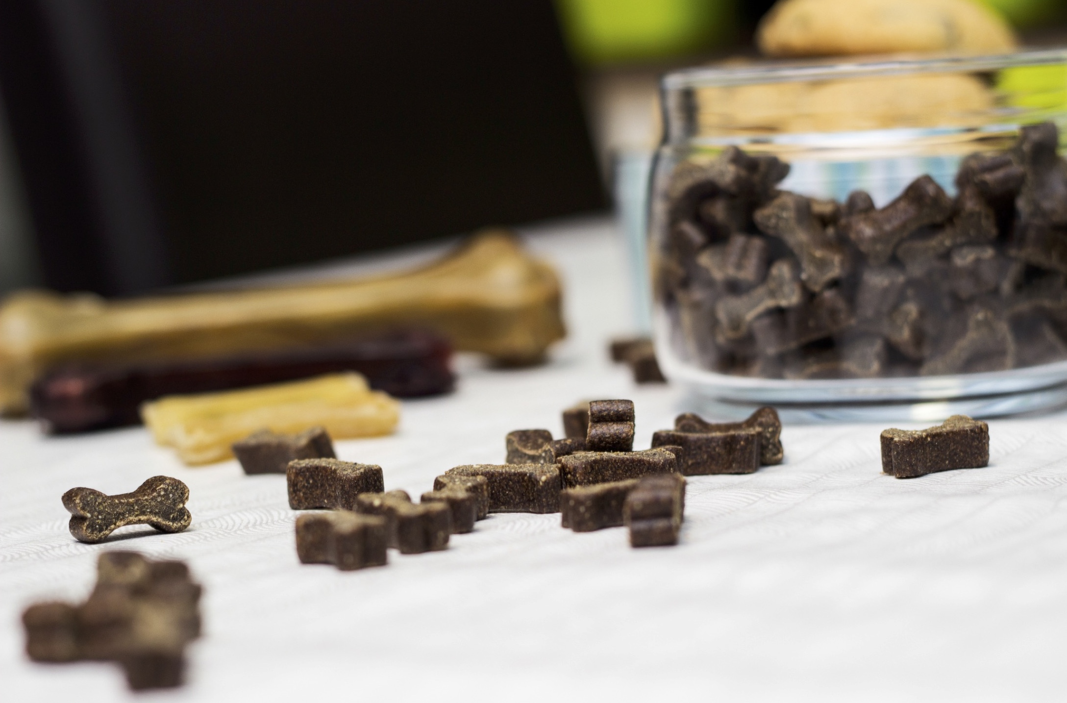 Dog Separation Anxiety Blog VetPet Academy Dog Treats